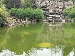 -铁山坪森林公园