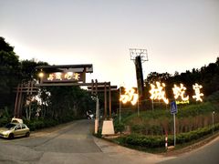 -荔城生鲜盛宴(番禺旗舰店)