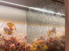 -渔语鱼新川菜Bistro(万象天地店)