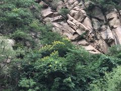 -碓臼峪自然风景区