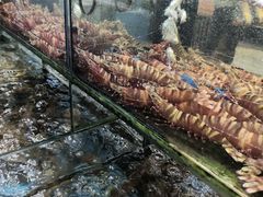 -厨房好味(国贸店)