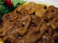 -金汇酒楼(中山东区店)