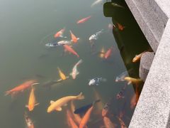 -檀园
