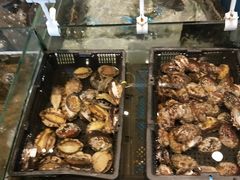 -海景壹号大酒店(惠钱路店)