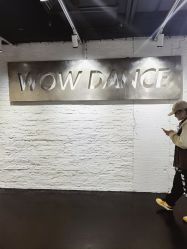 -wow舞蹈培训
