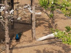 -渔掌门(铁东店)