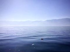 -南诏风情岛