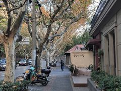 -夏朵花园(复兴西路店)