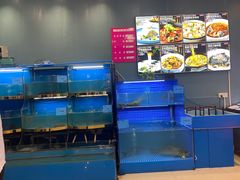 -农家大院