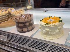 -TD66高山铁皮石斛养生茶饮