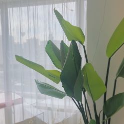 -E.L.K造型momopark店