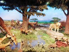 -国家自然博物馆