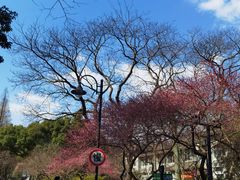 -杭州植物园
