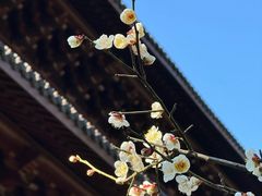 -钱王祠