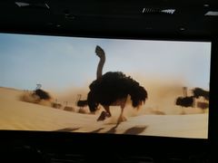 -大光明丽星VIP影城(昌里路杜比全景声店)