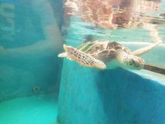 -成都浩海立方海洋公园