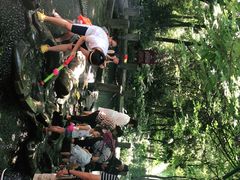 -成都市活水公园