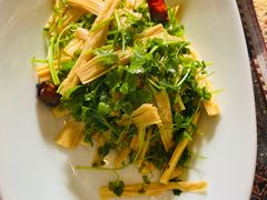 -巴依老爷新疆美食(工体旗舰店)