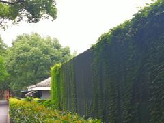 -中国人民解放军联勤保障部队第九〇三医院(九里松院区)