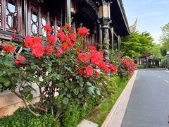 -上海皇廷花园酒店·御宴中餐厅