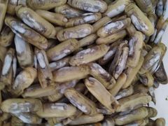 -宾朋海鲜特色美食餐厅·纯手工鲅鱼水饺(兴海路店)