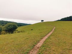 -塞罕坝国家级自然保护区