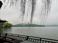 -柳莺湖上·湖景餐厅·江南菜(西湖店)