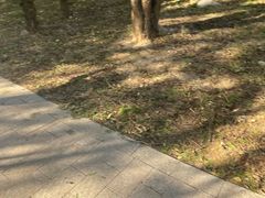 -白水寺森林公园