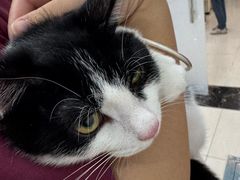 -美联众合动物医院·24h京西诊疗中心
