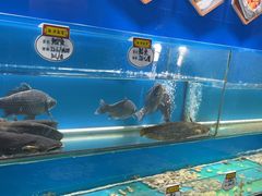 -高家烧鸽子烧烤店63年