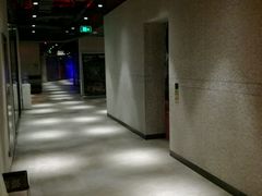 -威尔仕健身(丁香国际店)