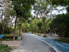 -吴淞炮台湾湿地森林公园烧烤区