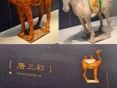 -镇江博物馆