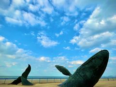 -烟台金沙滩海滨公园
