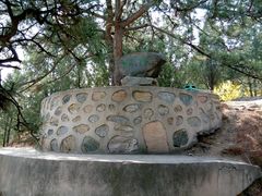 android_upload_pic-北京鹫峰国家森林公园