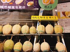 -都念榴莲·城市榴莲
