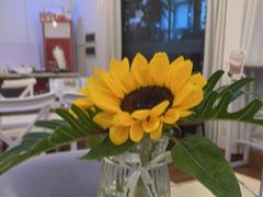 -梵花教室(壹品广场店)