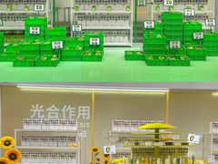 -王府井百货(总府店)