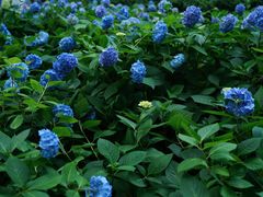 -常州古运河南大街文化旅游区-人民公园