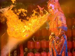 -陈麻婆豆腐(旗舰店)