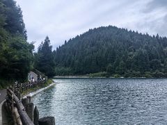 -武陵山森林公园