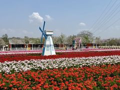 -盈香心动乐园