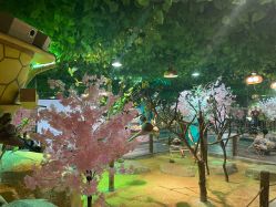 -酷嗒动物文化乐园(cutezoo西溪乐天城店)