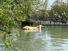 -西湖天地