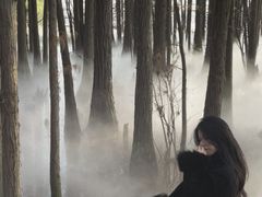 -东湖落雁景区