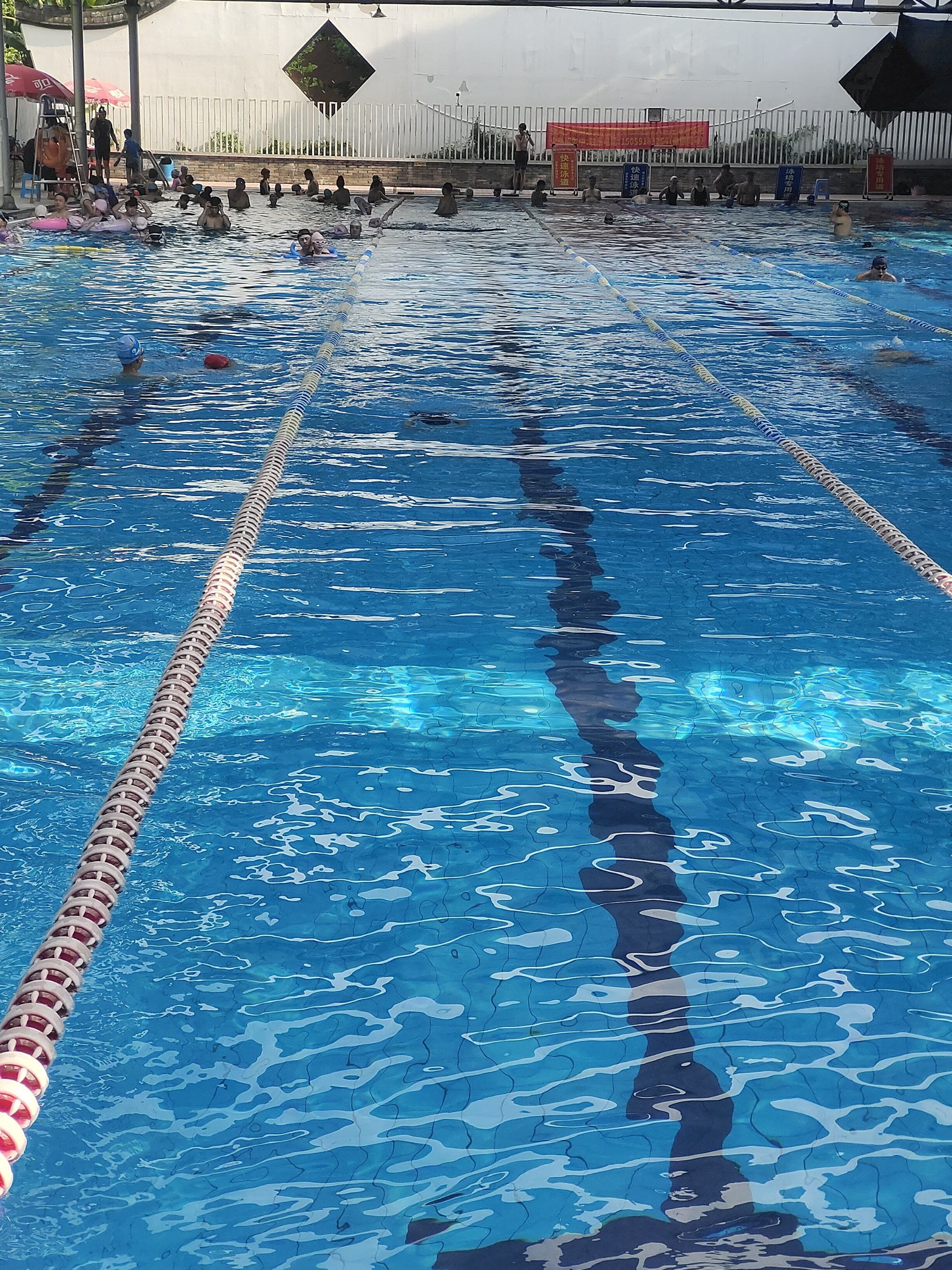 左海游泳馆,半露天标准50米泳池,人不多