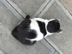 -朝伟清真铜瓢牛肉馆(三十年老·店)