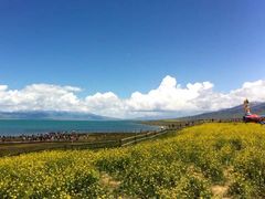 -青海湖国家重点风景名胜区