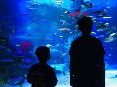 -沈阳海洋探索中心