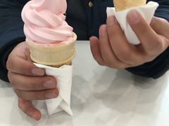 -麦当劳(盐城世纪大道得来速店)